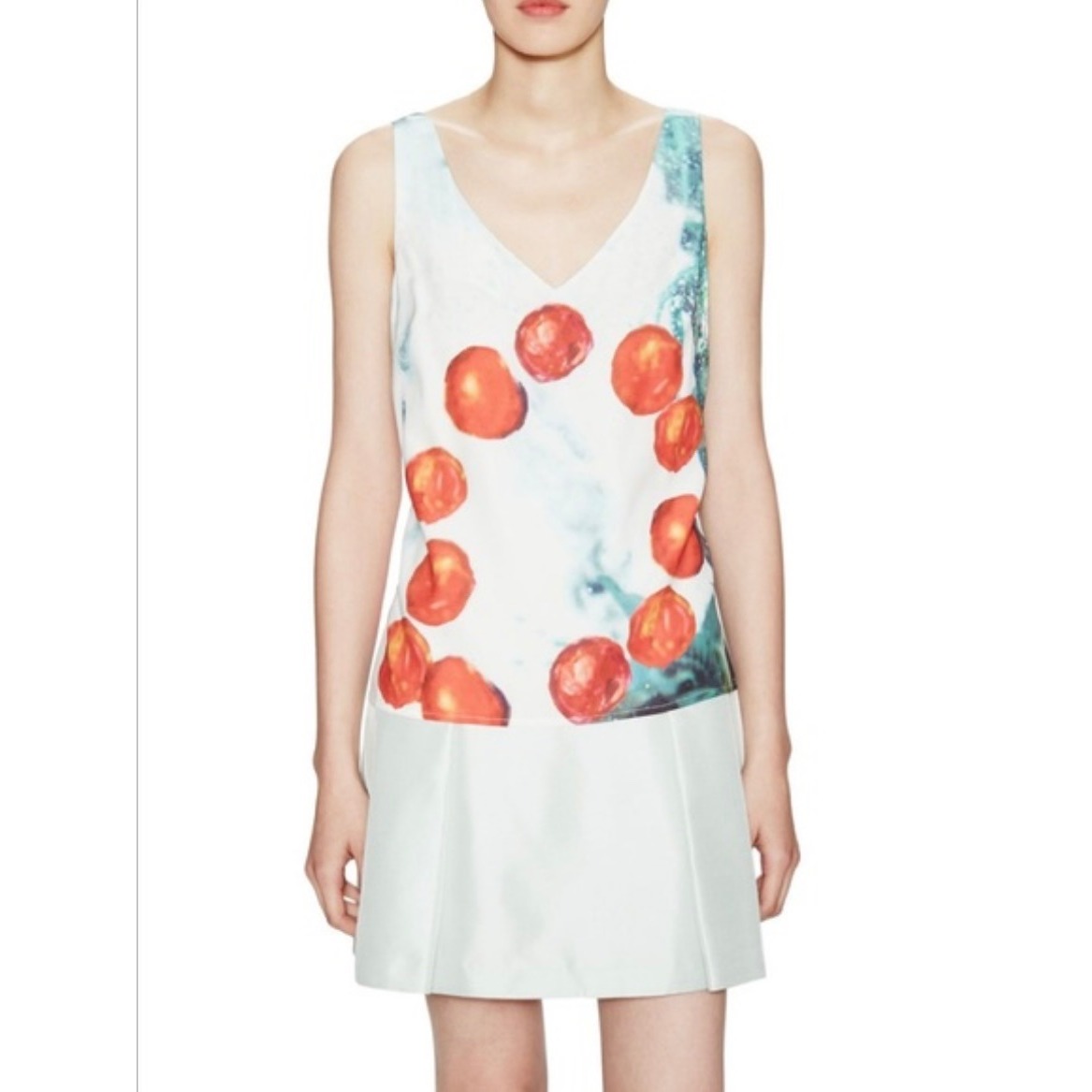 Misha Nonoo Sleeveless Top V-Neck Fruit Print Blouse Casual Size 6