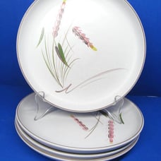 Denby Langley Harvest 8 1/8 Salad Plates Bundle of 4
