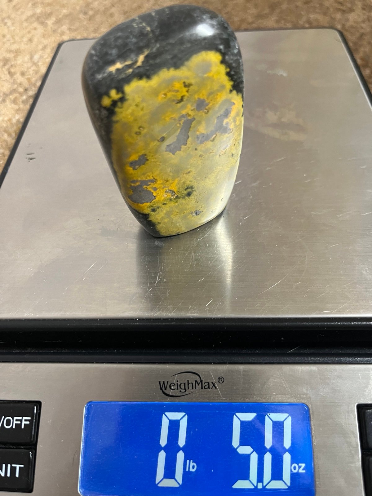 Bumblebee Jasper Freeform K