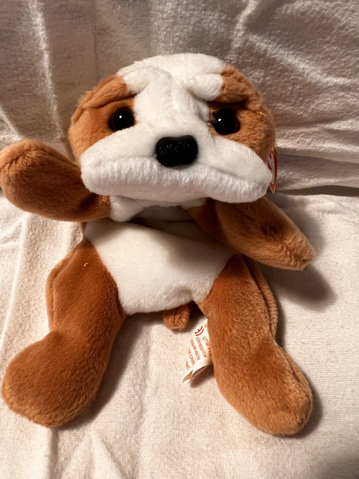 Ty Beanie Babies Wrinkles The Bulldog Rare