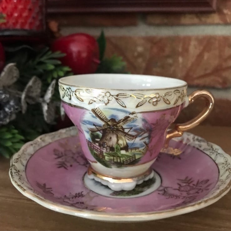 Rare Vintage Victorian Pink Tea Cup Saucer Set