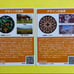 001 Manhole Card, Ina City, Nagano Prefecture, 2 types
