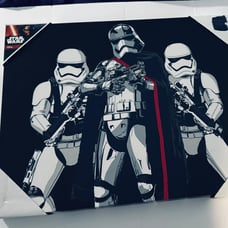 STAR WARS STORMTROOPERS CAPTAIN PHASMA RED VARIATION CANVAS 16 X 20