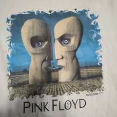1994 Pink Floyd The Division Bell N American tour vintage Tshirt Large