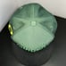 Nike True Oregon Ducks Snapback Hat 3D Embroidered College Football Sportswear