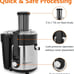 2 speed centrifugal juicer Heavy Duty Full Copper Motor e41