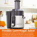 2 speed centrifugal juicer Heavy Duty Full Copper Motor e41