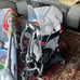 Osprey poco AG plus carrier