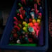 Paint pens