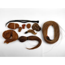 ANTIQUE HUMAN HAIR MOMENTO COLLECTION MOURNING ODDITY RARE