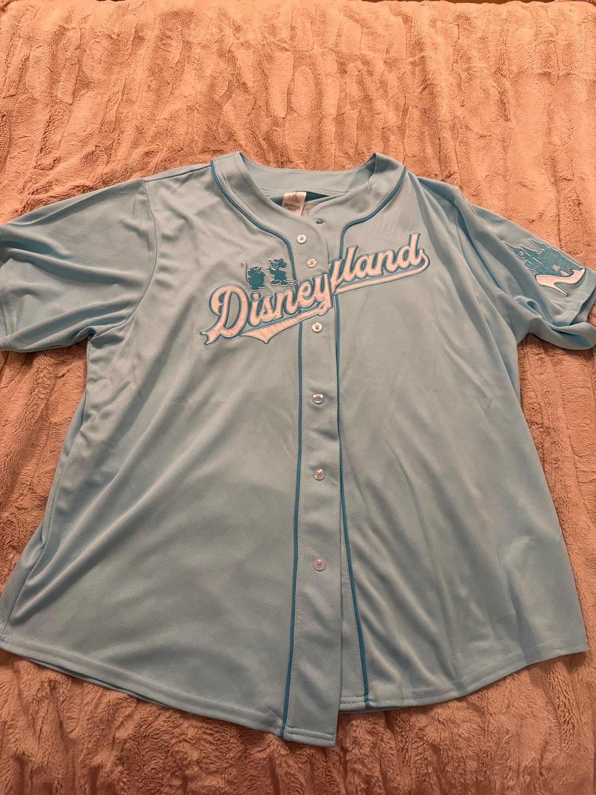 BNWT Cinderella Disneyland Jersey XL