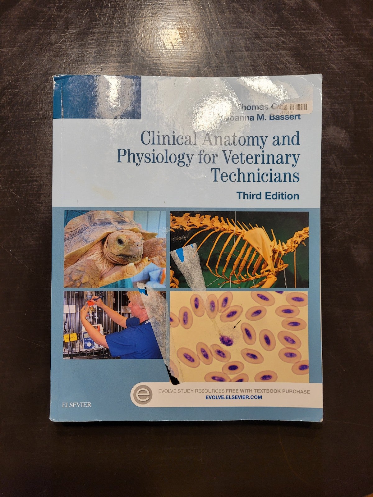 Clinical Anatomy and Physiology for Veterinary Technicians by Joanna M. Bassert