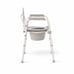 Adult Toilet Seat Potty Folding Chair
