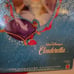Barbie as Cinderella, Limited Edition Doll, from The Signature Collection, MIB