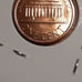1987 ddo rare penny in Brilliant Uncirculated Condition