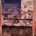 Tom Brady 2002 Ovation Sports Card