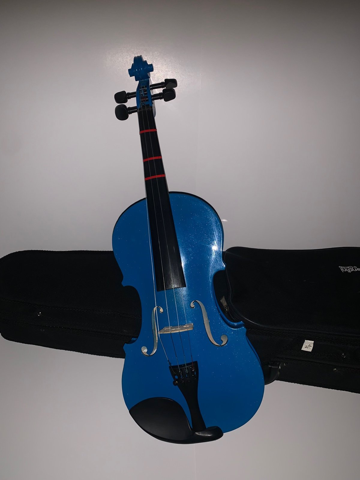 Violin With Case and Bow
