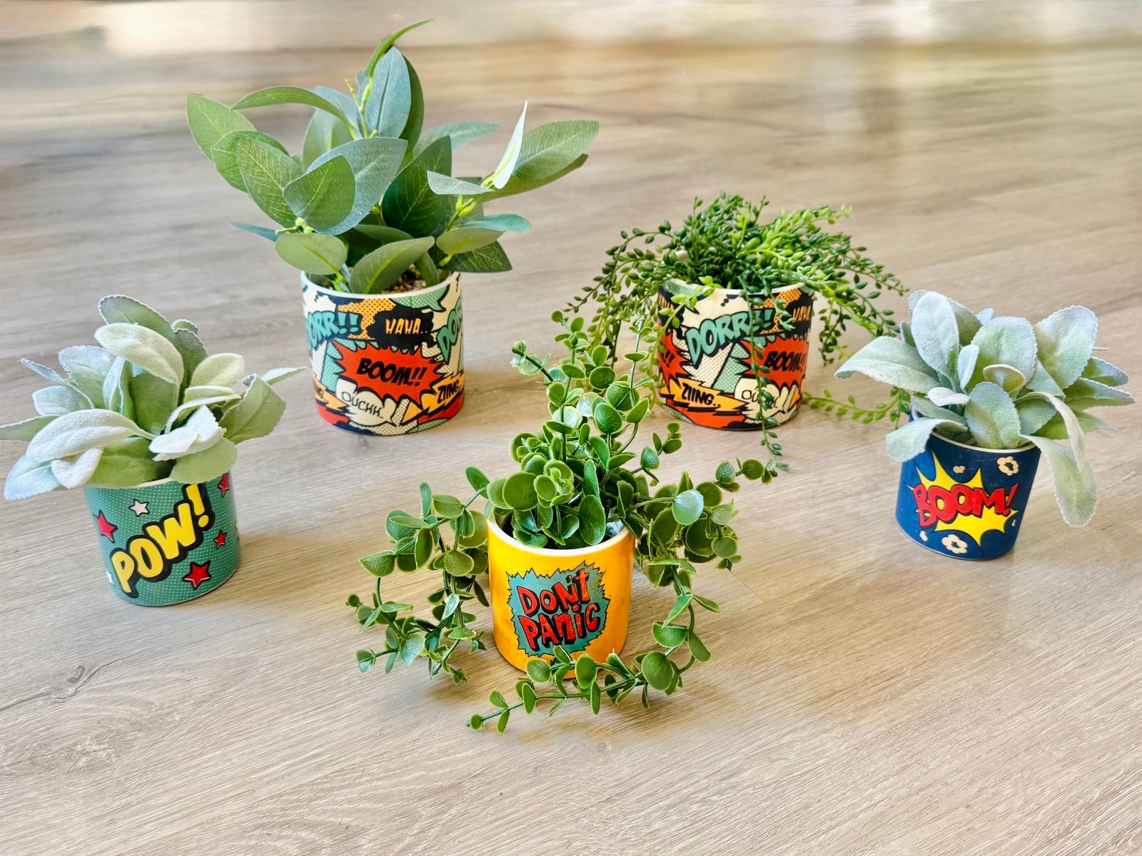 Comic Strip Themed Plant Pots w/Plants