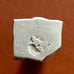 8 India ancient silver coins