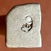 8 India ancient silver coins