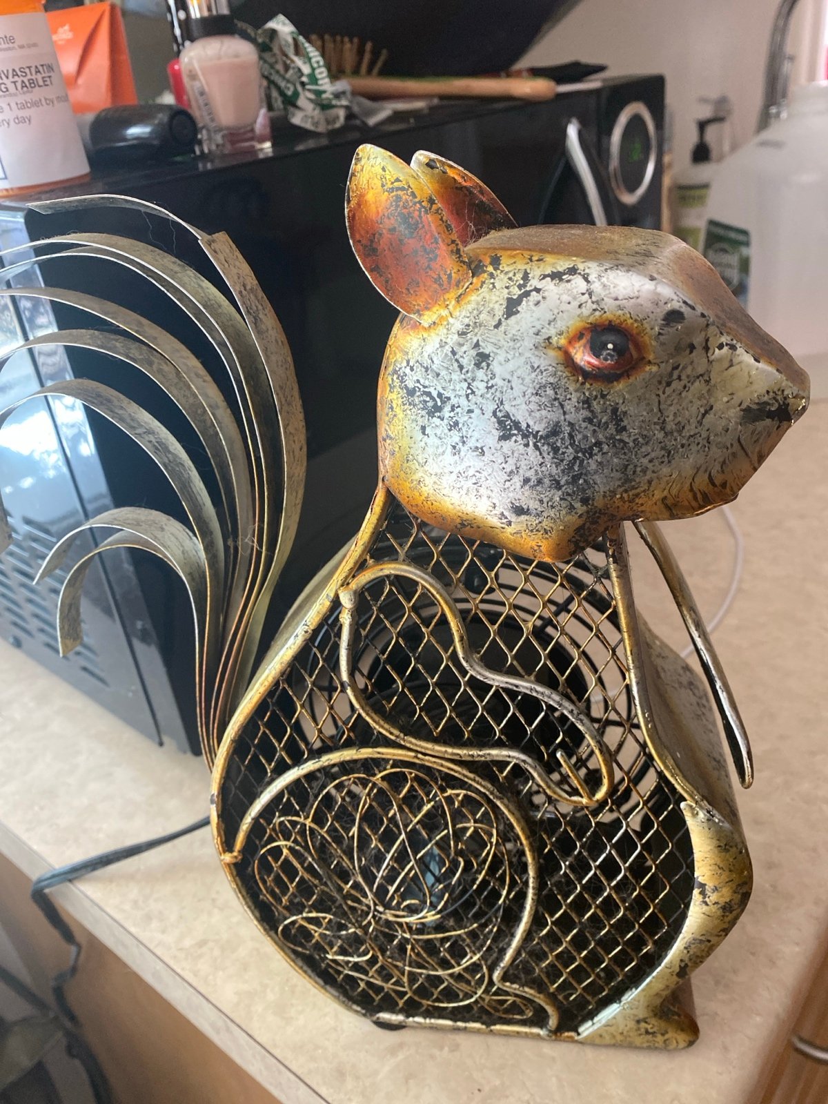 12 x 7 Metal squirrel fan