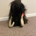 Folkmanis Wooly Mammoth Puppet NWT