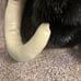 Folkmanis Wooly Mammoth Puppet NWT