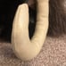 Folkmanis Wooly Mammoth Puppet NWT
