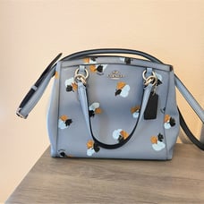 Coach Minetta 38417 Handbag Blue Floral Print