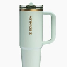 BRAND✨NEW✨STANLEY PROTOUR FLIP STRAW TUMBLER | 30 OZ | GILDED CELADON | MINT