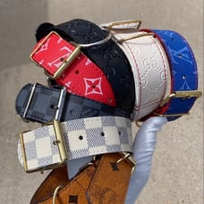 Luxury Dog Collars