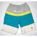 Champion Men's Board Shorts Swim Trunks Striped Shorts Size Small