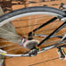 Two identical Raleigh teens Sport road bikes