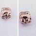 Authentic Pandora ROSE FAMILY CHARM