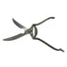 Vintage E Gierling Solingen Poultry Scissors Shears