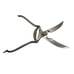 Vintage E Gierling Solingen Poultry Scissors Shears