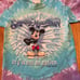 Vintage Disney Mickey Mouse Splash Mountain Dry is Not an Option T Shirt Youth S