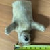 Vintage 50's Steiff Mohair Dog Foxy Foxterrier Hand Puppet No ID