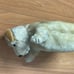 Vintage 50's Steiff Mohair Dog Foxy Foxterrier Hand Puppet No ID