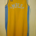 MPLS Lakers NBA hardwood dress/skirt xl