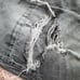 Ben Taverniti Unravel Project Jeans