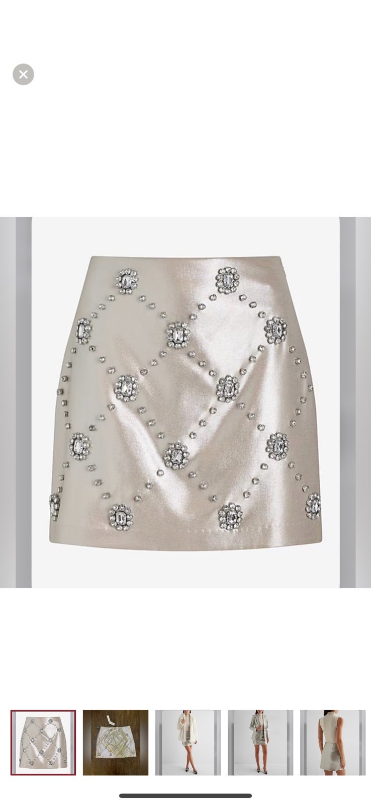 Express Skirt
