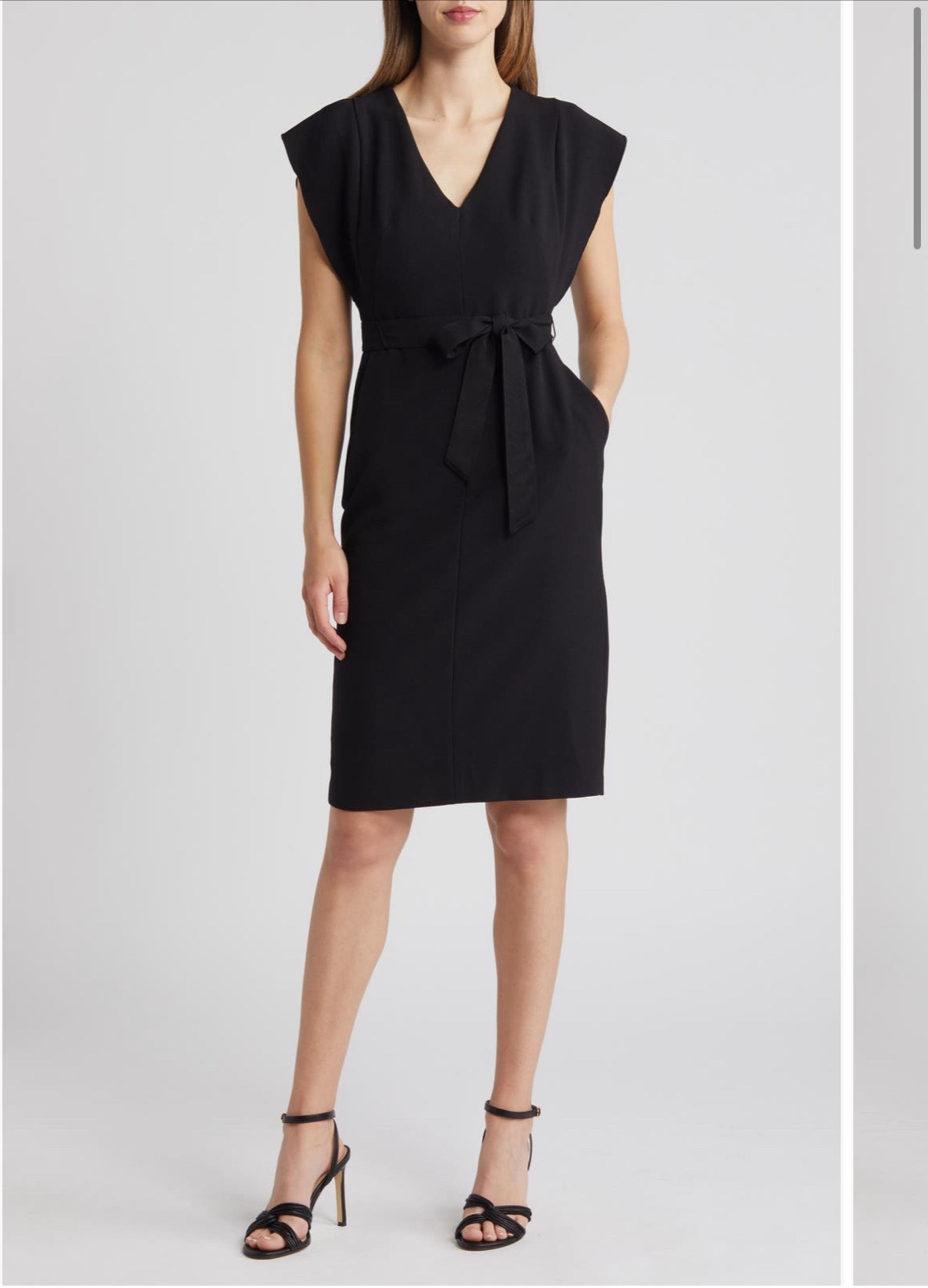Ruffle Sleeve Sheath Dress