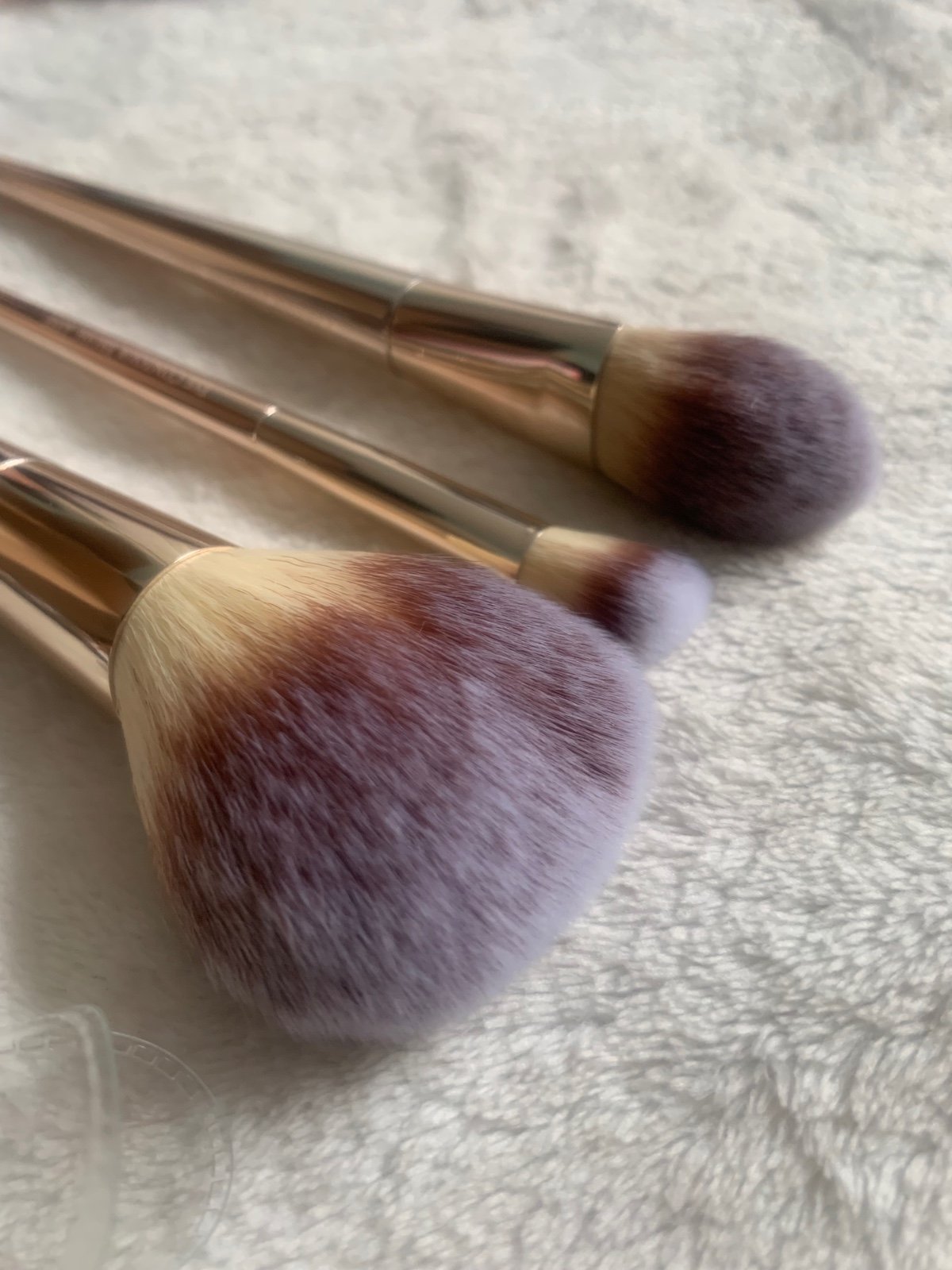 Farah Beauty Rendezvous Brush Set Trio NWT