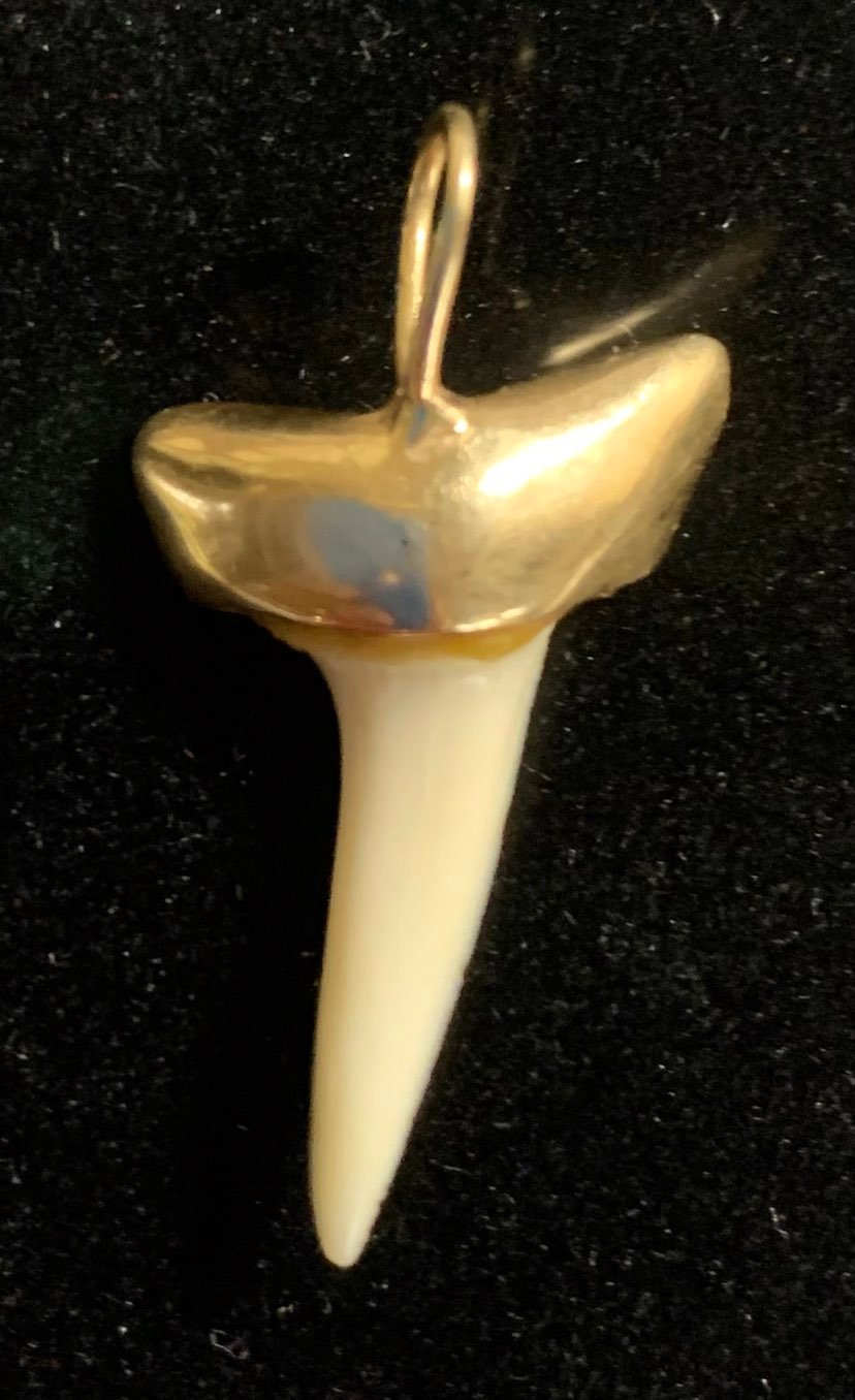 14K YELLOW GOLD AND HAWAIIAN FISH TOOTH