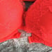 Victoria's Secret VS Fashion show red eyelash lace push up strappy bra 36C 34D
