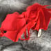 Victoria's Secret VS Fashion show red eyelash lace push up strappy bra 36C 34D