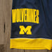 Jordan University of Michigan Wolverines Team Basketball Shorts Men's Size XL