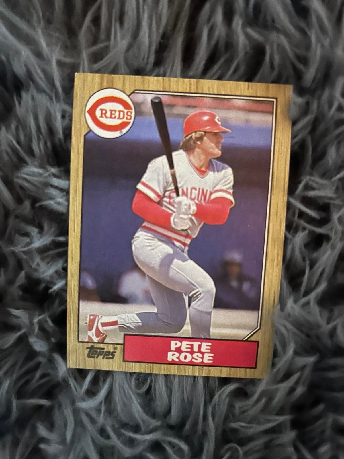 Pete Rose Topps Baseball Card