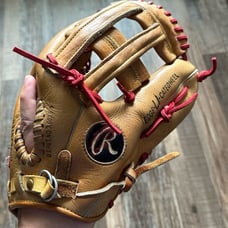 Rawlings PG22 11.5” Glove